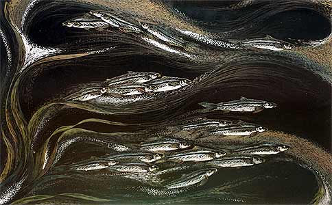 Rhythm & Motion, No.2