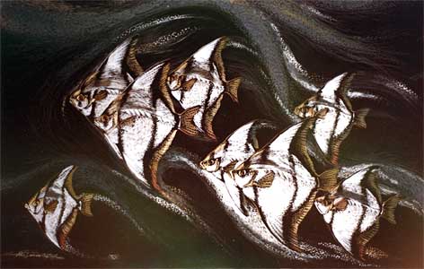 Rhythm & Motion, No.3