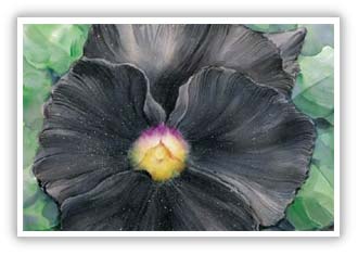 Artist Sompote Singthong ศิลปิน สมโภชน์ สิงห์ทอง