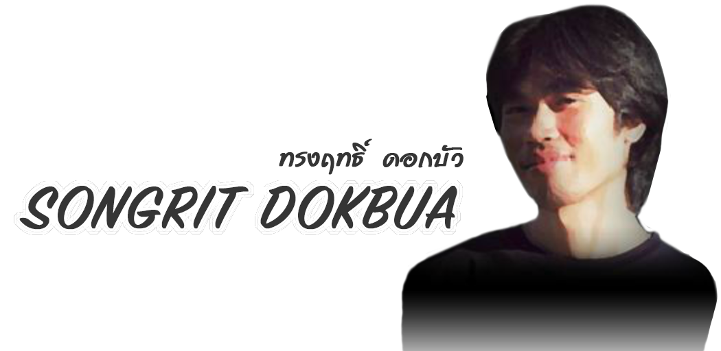 Artist Songrit Dokbua ศิลปิน ทรงฤทธิ์ ดอกบัว
