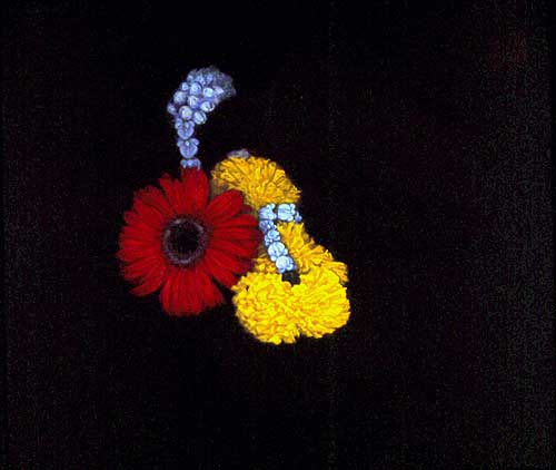 A Garland and Phallic Amulet 2002